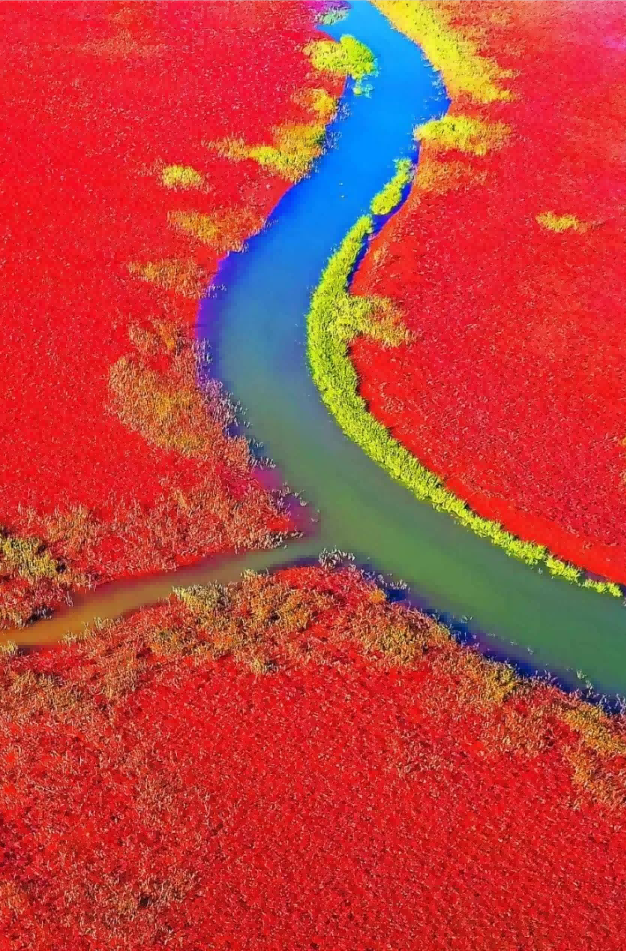 黄河入海流——山影镜头里的时代变迁故事