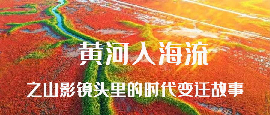 黄河入海流——山影镜头里的时代变迁故事