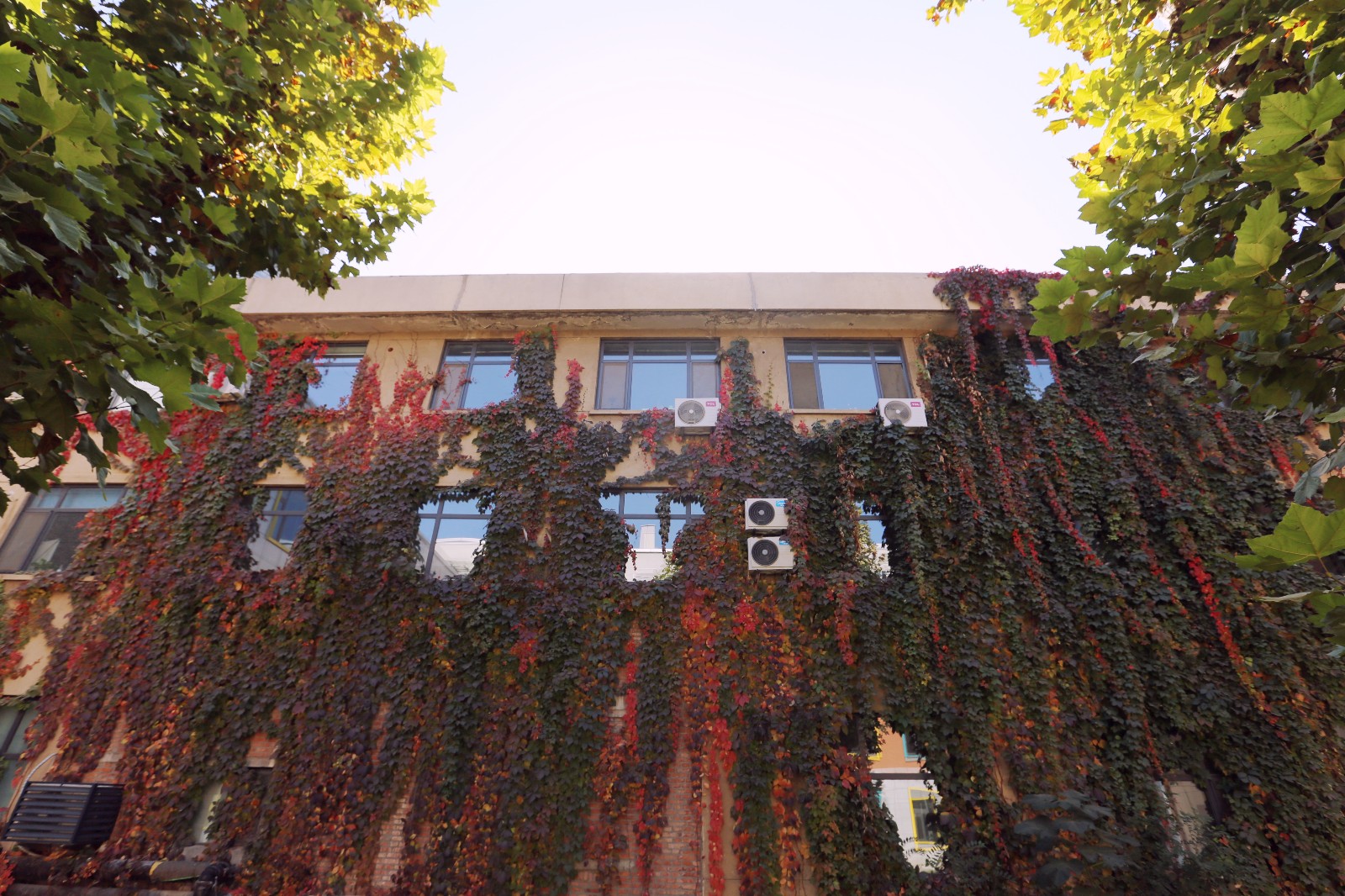 山影星工坊的秋色，与心中的美好不期而遇