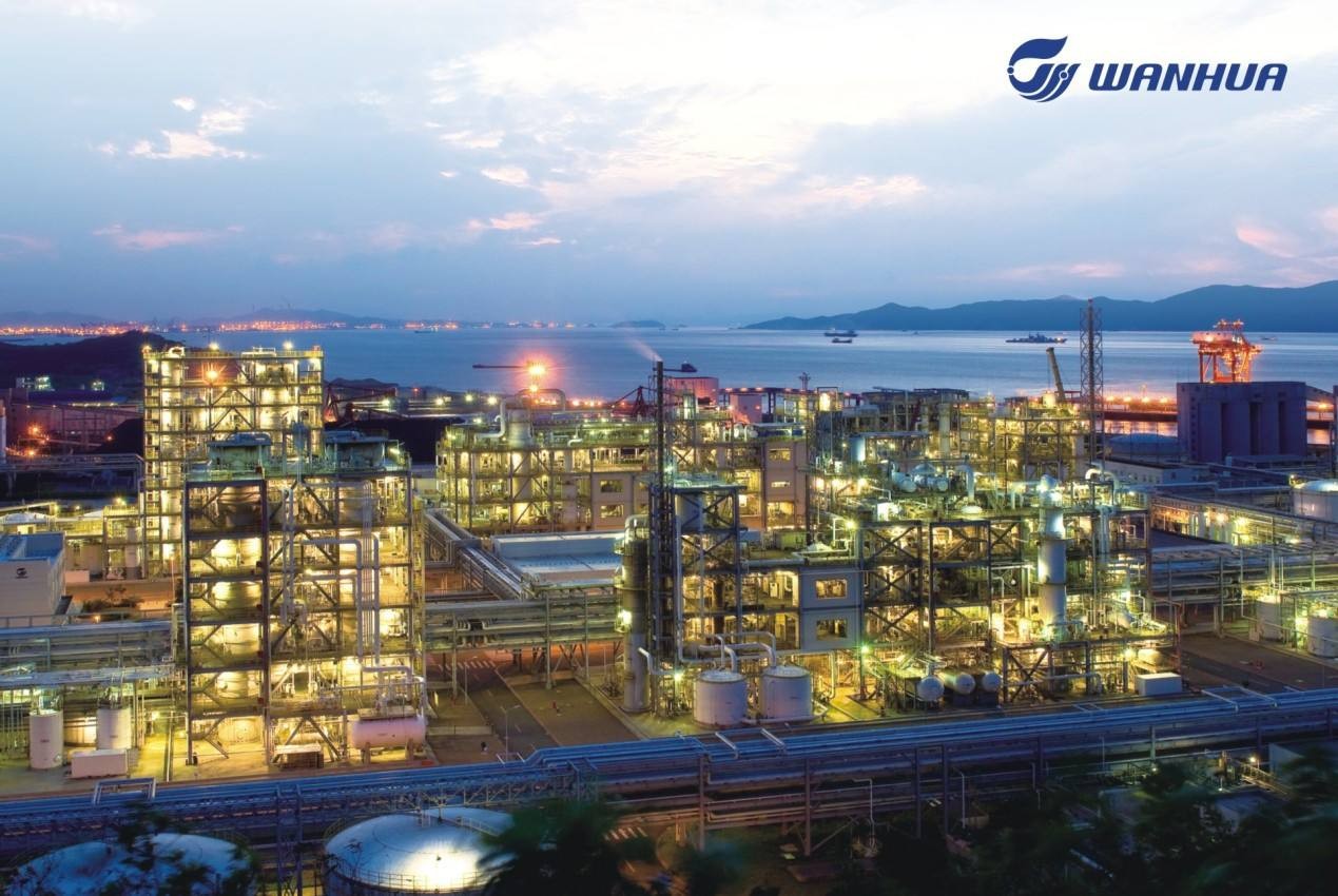 深化改革创新 实现高质量发展         ——万华化学集团典型经验材料（上）