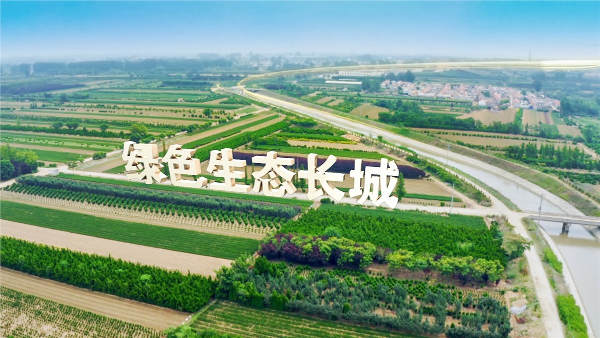 《调水为民 服务发展》齐鲁音像凝聚护水合力