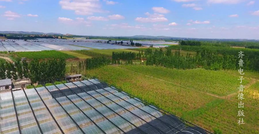 节水公益广告——农业篇